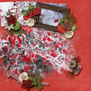 Christmas Joy