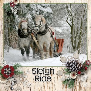 Sleigh Ride