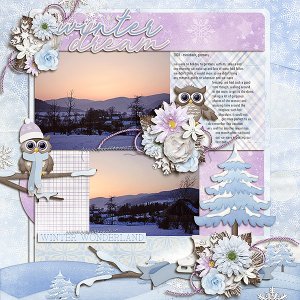 winter dream