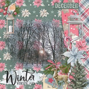 Winter Wonderland