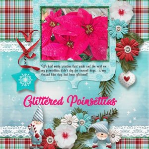 Glittered Poinsettias