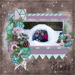 the wonder of winter