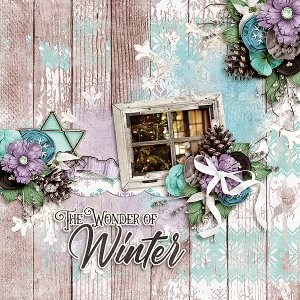The Wonder of Winter