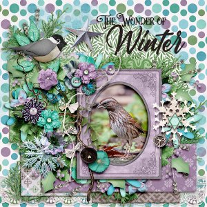 The Wonder Of Winter