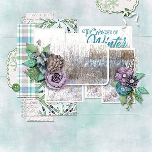 Winter Wonder