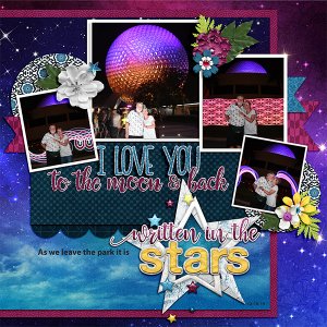 Epcot night photos