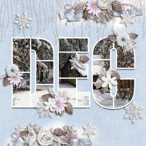 December Day