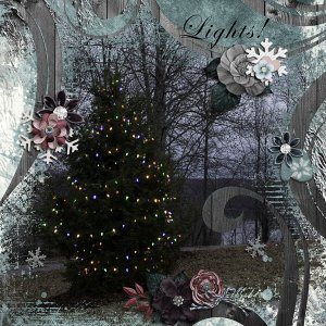 Tree Lights