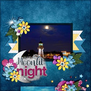 Moonlit-Night