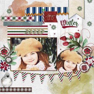 Peppermint Winter