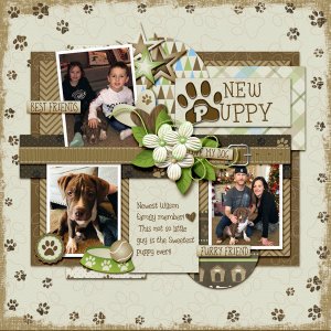 New Puppy