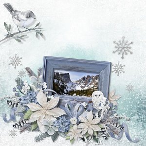 Winterland Collection by Ilonka