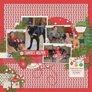 Instant Replay Vol 5