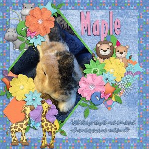 Maple