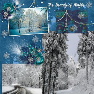 The Beauty of Winter