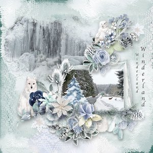 Winterland1