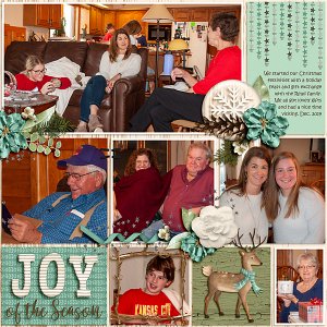 Joy of the Season
