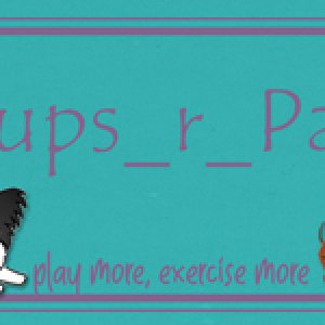 Play More Exercise More Siggy