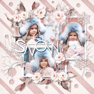 DREAM OF A WINTER BRIDE