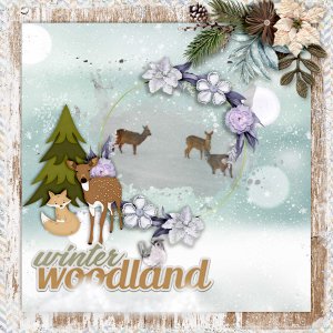Winter-woodland