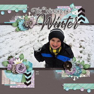 The Wonder of Winter