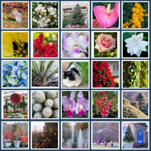 Longwood Gardens