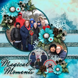 Winter Wonders