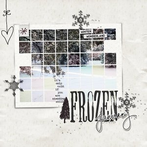 Frozen January