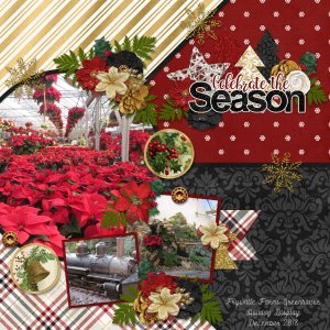 Celebrate the Season
