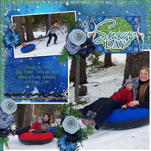 Snowy Day