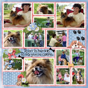 The Life of Bear Lee
