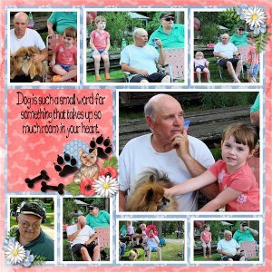The Life of Bear Lee