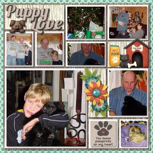 The Life of Bear Lee