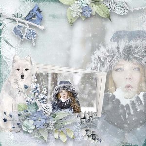 Winterland