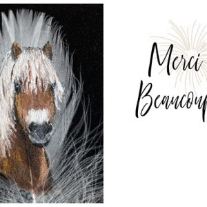 Font Challenge - Sherland Modern