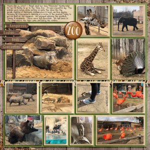 Tulsa Zoo Jan 2020 - 2