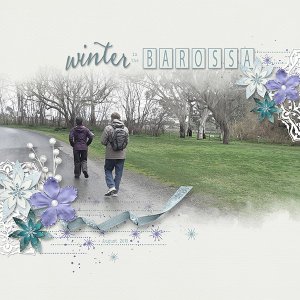 Walk in the Barossa Valley