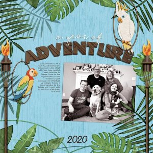 ~A Year of Adventure~