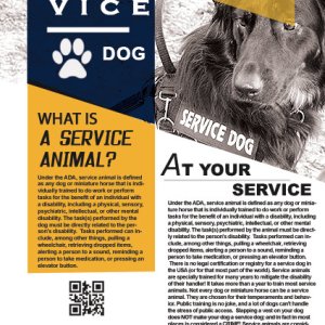 Service Dogs