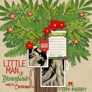 Disney - Little Man of Disneyland