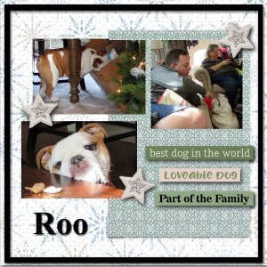 Roo