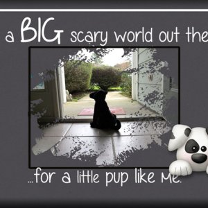 ATC 2020-005 It's a BIG Scary World