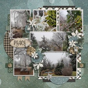 Winter woods