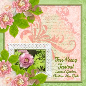 Tree Peony Festival