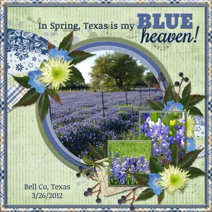 In Spring, Texas is my BLUE heaven!