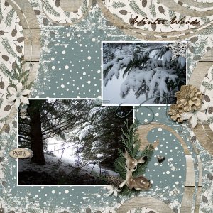 Winter Woods