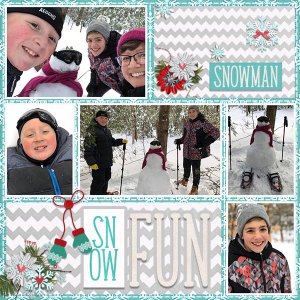 Snow FUn