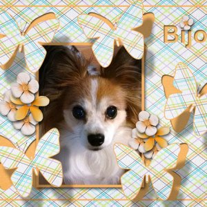 Bijou