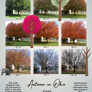 Autumn in Ohio