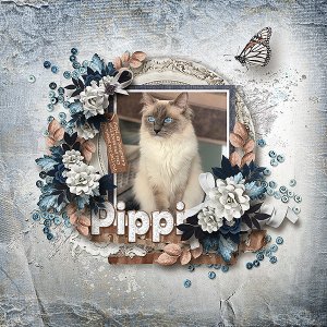 Pippi